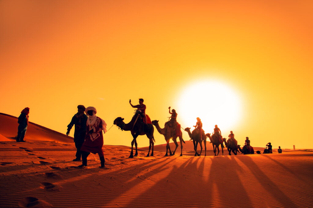 camel riding