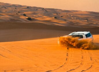 morning desert safari dubai