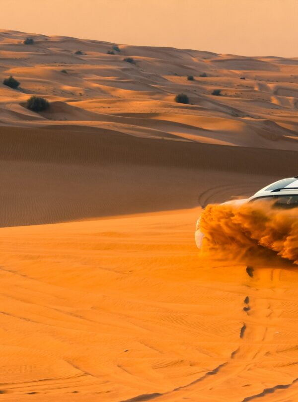 morning desert safari dubai