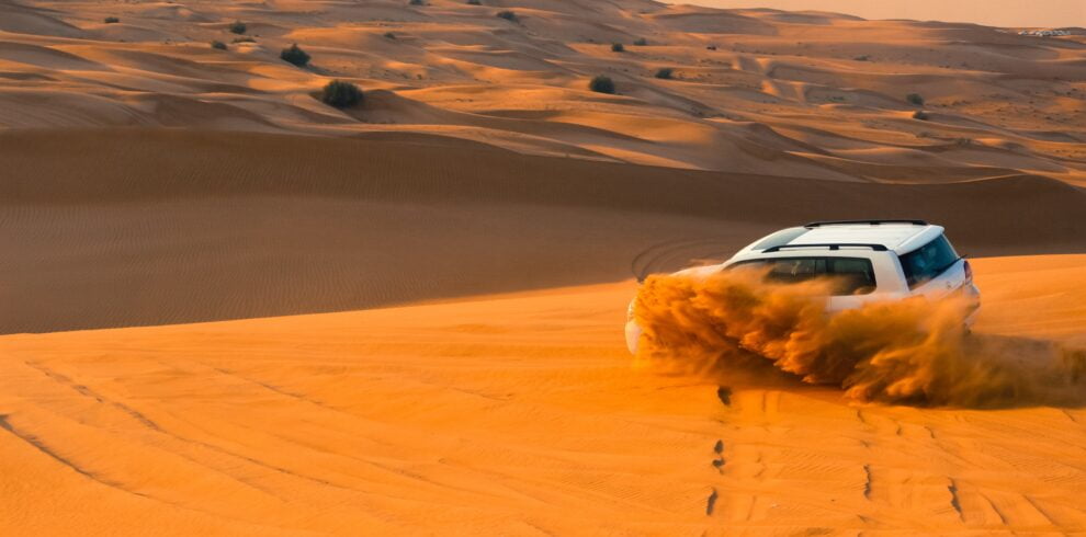 morning desert safari dubai