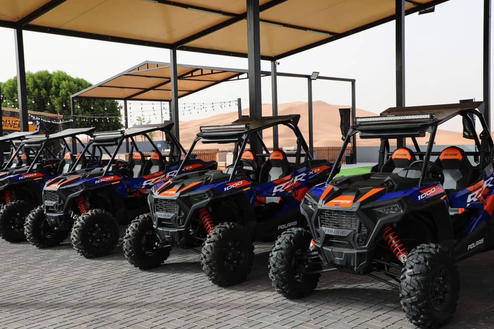buggy safari